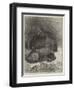 Hippopotamus and Young at the Zoological Society's Gardens-George Bouverie Goddard-Framed Premium Giclee Print