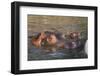 Hippopotamus and Young Cooling in Fresh Water-DLILLC-Framed Premium Photographic Print