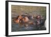 Hippopotamus and Young Cooling in Fresh Water-DLILLC-Framed Photographic Print