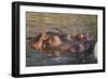 Hippopotamus and Young Cooling in Fresh Water-DLILLC-Framed Photographic Print