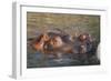 Hippopotamus and Young Cooling in Fresh Water-DLILLC-Framed Photographic Print