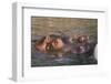 Hippopotamus and Young Cooling in Fresh Water-DLILLC-Framed Photographic Print