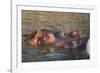 Hippopotamus and Young Cooling in Fresh Water-DLILLC-Framed Photographic Print