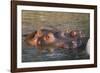 Hippopotamus and Young Cooling in Fresh Water-DLILLC-Framed Photographic Print