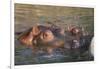 Hippopotamus and Young Cooling in Fresh Water-DLILLC-Framed Photographic Print