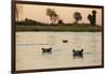 Hippopotamus, Botswana-Michele Westmorland-Framed Premium Photographic Print