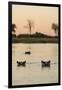 Hippopotamus, Botswana-Michele Westmorland-Framed Premium Photographic Print