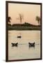 Hippopotamus, Botswana-Michele Westmorland-Framed Photographic Print