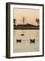 Hippopotamus, Botswana-Michele Westmorland-Framed Photographic Print