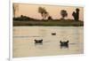 Hippopotamus, Botswana-Michele Westmorland-Framed Photographic Print