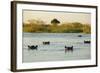 Hippopotamus, Botswana-Michele Westmorland-Framed Photographic Print