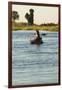 Hippopotamus, Botswana-Michele Westmorland-Framed Photographic Print