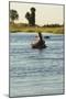 Hippopotamus, Botswana-Michele Westmorland-Mounted Photographic Print