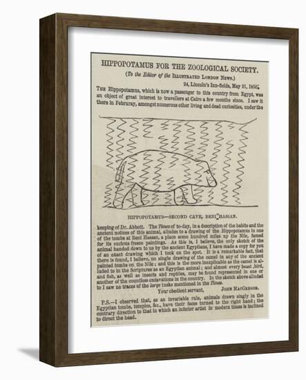 Hippopotamus for the Zoological Society-null-Framed Giclee Print