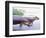 Hippopotamus Gorgops-null-Framed Photographic Print