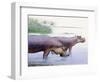 Hippopotamus Gorgops-null-Framed Photographic Print