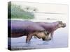 Hippopotamus Gorgops-null-Stretched Canvas