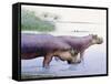 Hippopotamus Gorgops-null-Framed Stretched Canvas