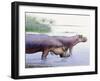 Hippopotamus Gorgops-null-Framed Photographic Print