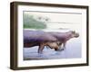 Hippopotamus Gorgops-null-Framed Premium Photographic Print