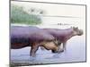 Hippopotamus Gorgops-null-Mounted Premium Photographic Print