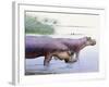 Hippopotamus Gorgops-null-Framed Photographic Print