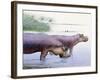 Hippopotamus Gorgops-null-Framed Photographic Print