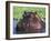 Hippopotamus Head Above Water, Kruger National Park, South Africa-Tony Heald-Framed Photographic Print