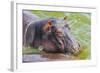 Hippopotamus (Hippopotamus Amphibious) Bathing in the Water-Michael-Framed Photographic Print
