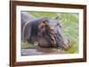 Hippopotamus (Hippopotamus Amphibious) Bathing in the Water-Michael-Framed Photographic Print