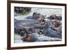 Hippopotamus (Hippopotamus Amphibious) Group Bathing in the Water-Michael-Framed Photographic Print