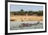 Hippopotamus (Hippopotamus Amphibious) Group Bathing with a Group of Elephants Standing in the Back-Michael Runkel-Framed Photographic Print