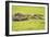 Hippopotamus (Hippopotamus Amphibious), Zambia, Africa-Janette Hill-Framed Photographic Print