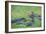 Hippopotamus (Hippopotamus Amphibious), Zambia, Africa-Janette Hill-Framed Photographic Print