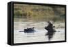 Hippopotamus (Hippopotamus Amphibius), Khwai Concession, Okavango Delta, Botswana, Africa-Sergio Pitamitz-Framed Stretched Canvas