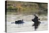 Hippopotamus (Hippopotamus Amphibius), Khwai Concession, Okavango Delta, Botswana, Africa-Sergio Pitamitz-Stretched Canvas