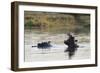 Hippopotamus (Hippopotamus Amphibius), Khwai Concession, Okavango Delta, Botswana, Africa-Sergio Pitamitz-Framed Photographic Print