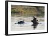 Hippopotamus (Hippopotamus Amphibius), Khwai Concession, Okavango Delta, Botswana, Africa-Sergio Pitamitz-Framed Photographic Print