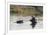 Hippopotamus (Hippopotamus Amphibius), Khwai Concession, Okavango Delta, Botswana, Africa-Sergio Pitamitz-Framed Photographic Print