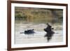 Hippopotamus (Hippopotamus Amphibius), Khwai Concession, Okavango Delta, Botswana, Africa-Sergio Pitamitz-Framed Photographic Print