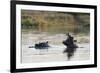 Hippopotamus (Hippopotamus Amphibius), Khwai Concession, Okavango Delta, Botswana, Africa-Sergio Pitamitz-Framed Photographic Print