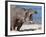 Hippopotamus (Hippopotamus Amphibius), Kruger National Park, Mpumalanga, South Africa, Africa-Ann & Steve Toon-Framed Photographic Print