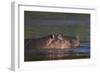 Hippopotamus (Hippopotamus Amphibius), Kruger National Park, South Africa, Africa-James-Framed Photographic Print