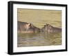 Hippopotamus (Hippopotamus Amphibius) Mother and Baby, Masai Mara National Reserve, Kenya-James Hager-Framed Photographic Print