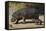 Hippopotamus (Hippopotamus Amphibius) Mother and Baby Out of the Water-James Hager-Framed Stretched Canvas