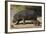 Hippopotamus (Hippopotamus Amphibius) Mother and Baby Out of the Water-James Hager-Framed Photographic Print