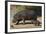 Hippopotamus (Hippopotamus Amphibius) Mother and Baby Out of the Water-James Hager-Framed Photographic Print