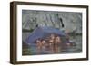 Hippopotamus (Hippopotamus Amphibius) Mother and Calf-James Hager-Framed Photographic Print