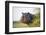 Hippopotamus (Hippopotamus Amphibius) Out of the Water, Peering around Vegetation-Wim van den Heever-Framed Photographic Print