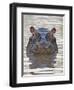 Hippopotamus (Hippopotamus Amphibius), Serengeti National Park, Tanzania, East Africa, Africa-James Hager-Framed Photographic Print